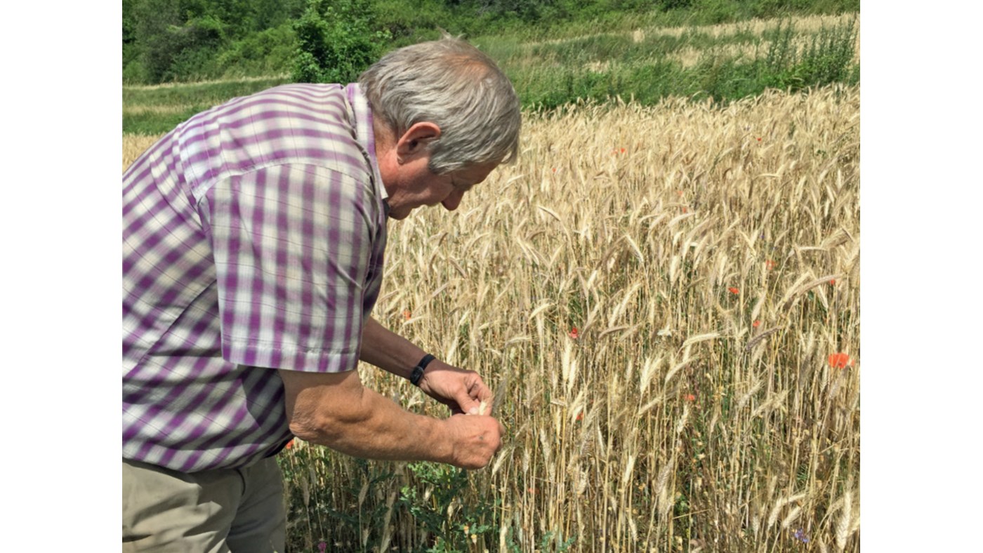 Un domaine agricole qui respecte la nature et la biodiversité
