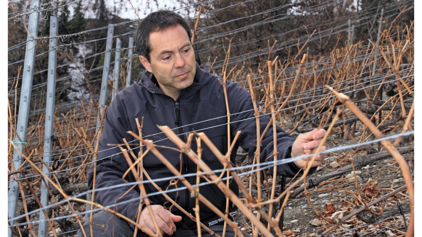 Fier de son terroir et de sa vigne