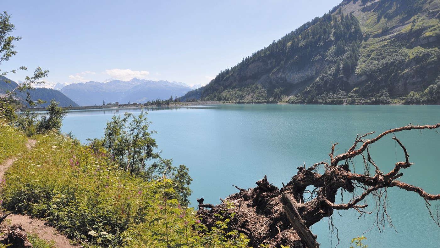 L'eau : une question d'avenir
