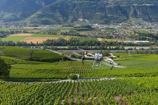 dji_20250703081128_0020_d