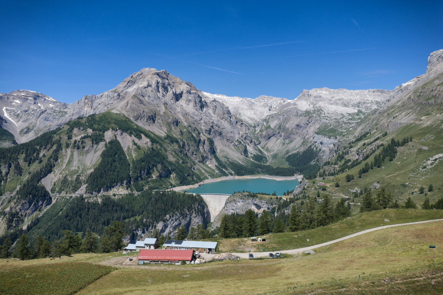 dji_20260708113143_0136_d_nik