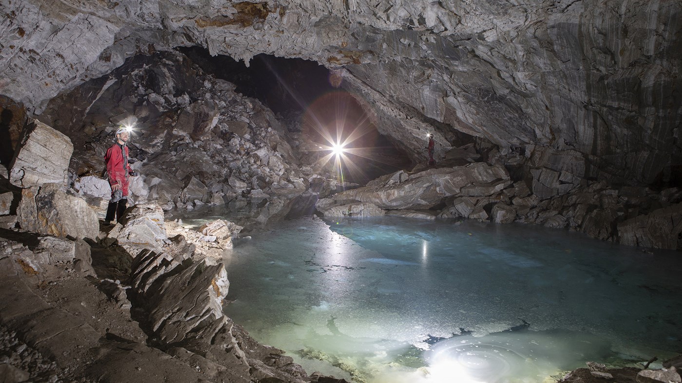 Sur les traces des chiroptères