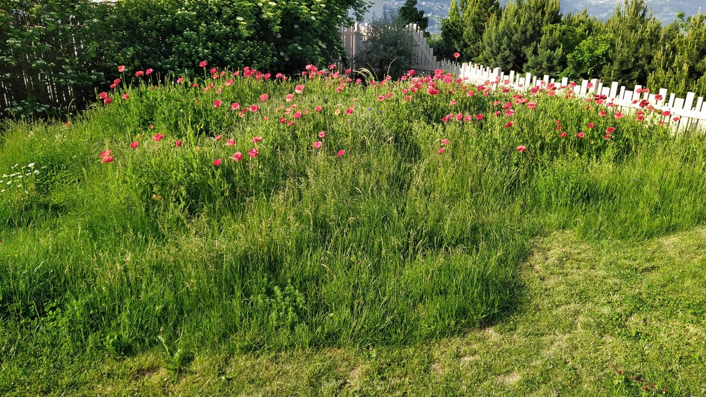 Des extérieurs favorables à la biodiversité